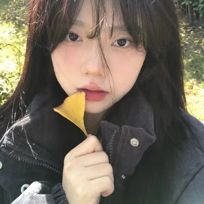 风尘舞蝶